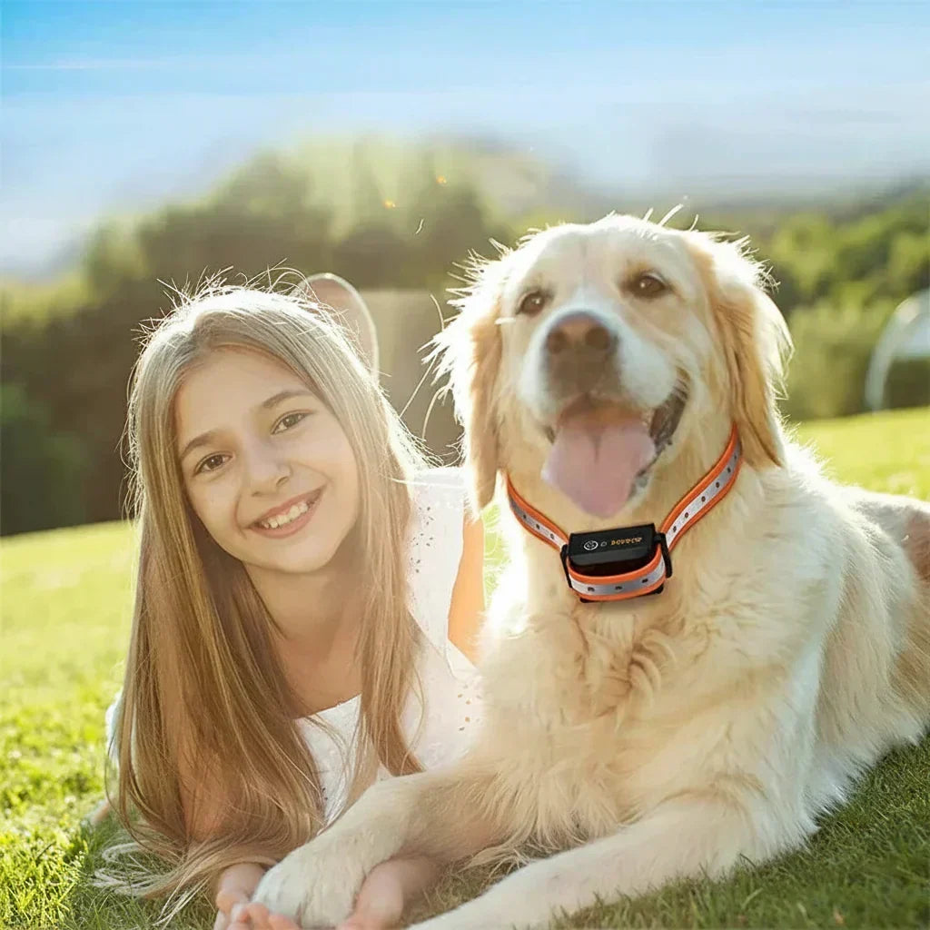 Collier de dressage à distance pour chien Portée de 1000m 3 modes de dressage 9 niveaux d’intensité Étanche IP67 Rechargeable | Sulvida