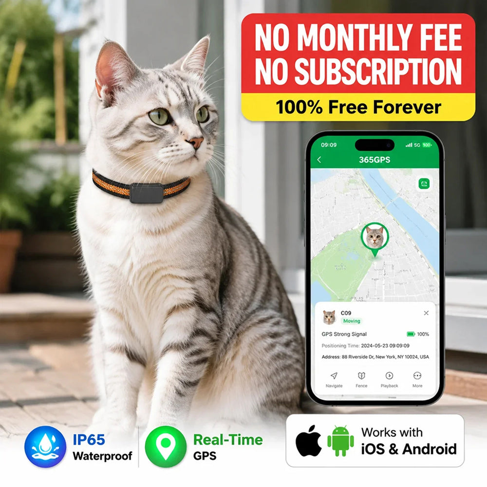 Traceur GPS pour chat avec localisation en temps réel, Wi-Fi et positionnement 4G - application gratuite pour iOS et Android | Sulvida
