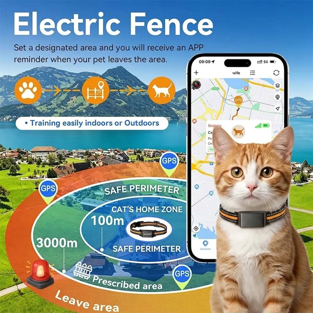 Traceur GPS pour chat avec localisation en temps réel, Wi-Fi et positionnement 4G - application gratuite pour iOS et Android | Sulvida
