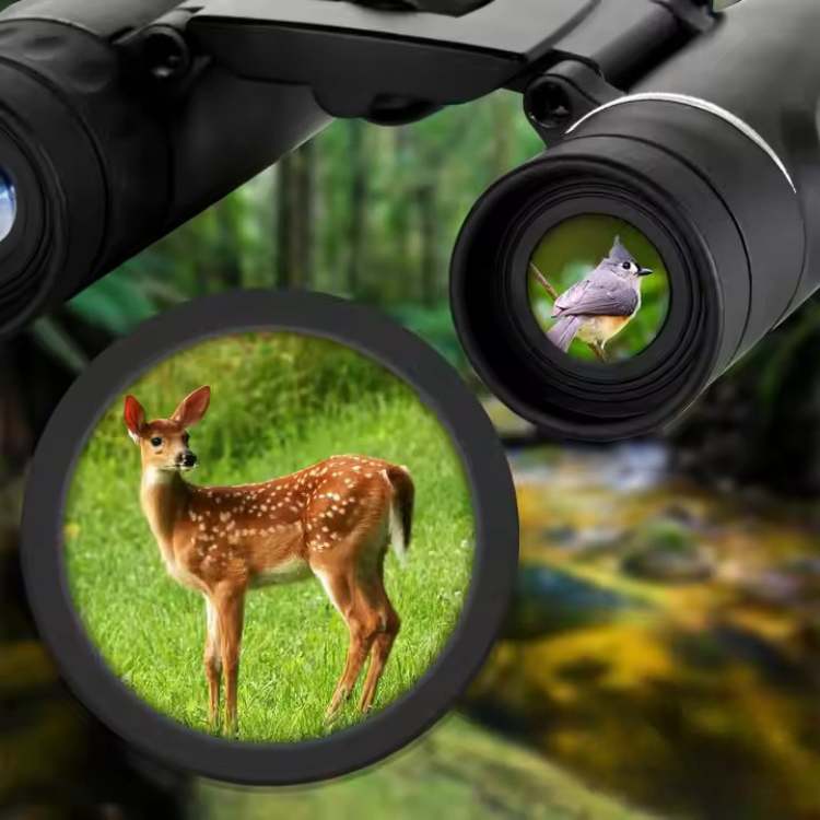 Compacte verrekijker 40×22 HD lange afstand vogels observeren natuur sterren helder scherp beeld wandelen | Sulvida