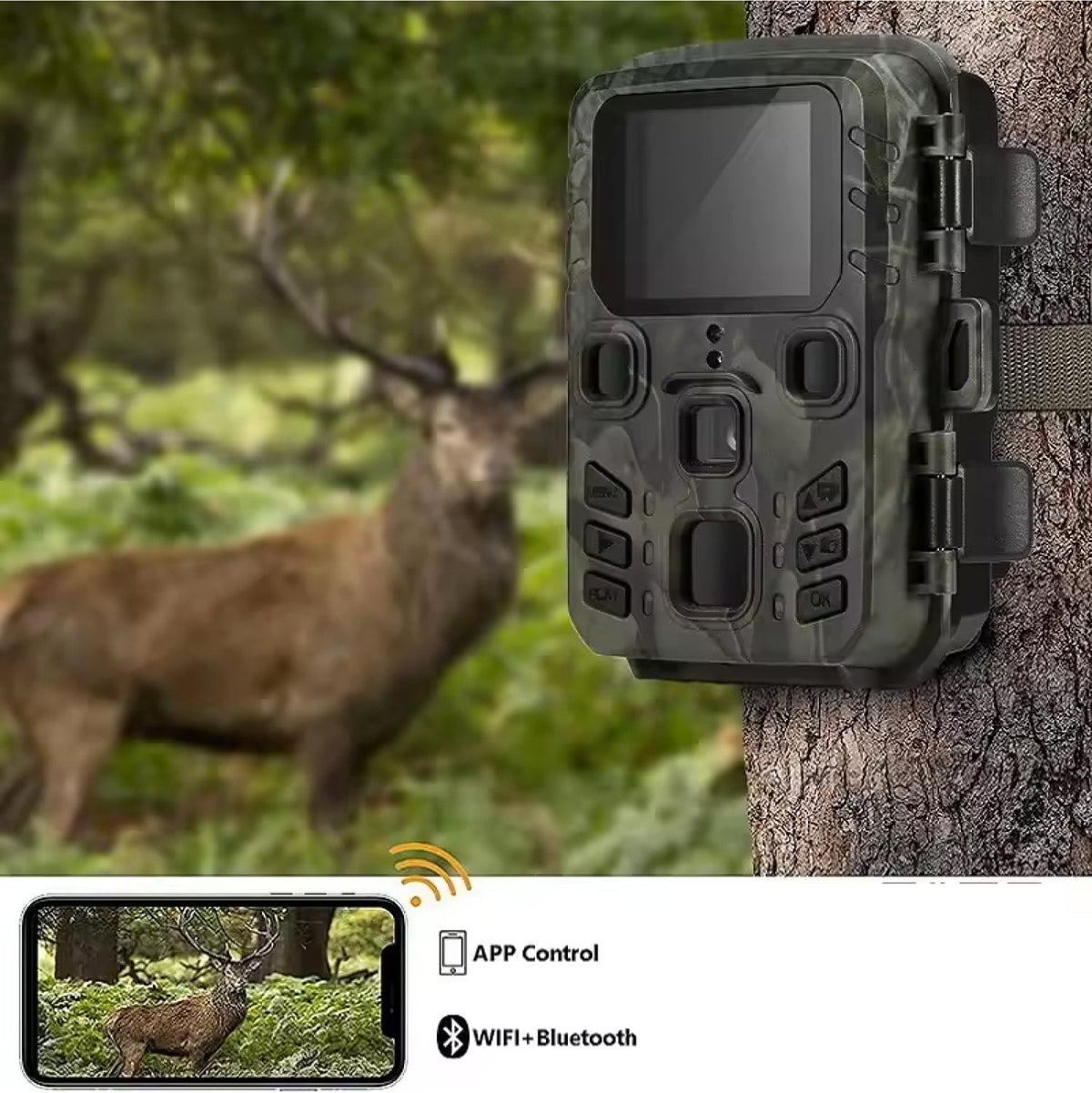 Caméra de chasse avec diffusion en direct par Wi-Fi, étanche IP65, détection de mouvement et vision nocturne, pour l'observation de la nature en extérieur | Sulvida