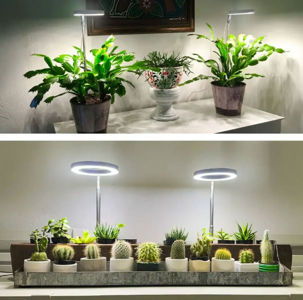 Groeilamp met Verstelbaar Statief voor Kamerplanten LED Volledig Spectrum 20-65cm Indoor Plantengroei | Sulvida