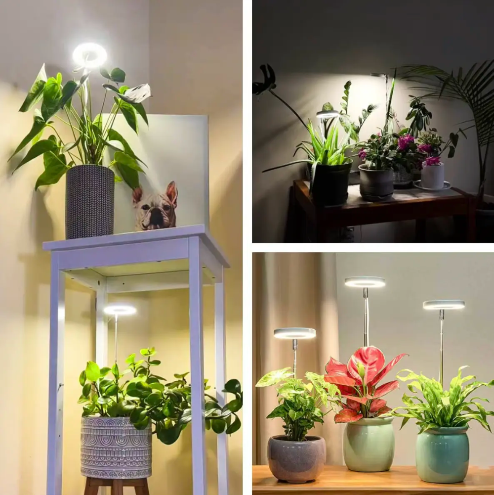 Groeilamp met Verstelbaar Statief voor Kamerplanten LED Volledig Spectrum 20-65cm Indoor Plantengroei | Sulvida