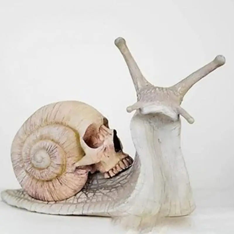 Gotisch Slakbeeld met Schedel - Weersbestendig Tuinornament van Hars voor Binnen en Buiten - Gothic Decoratie | Sulvida