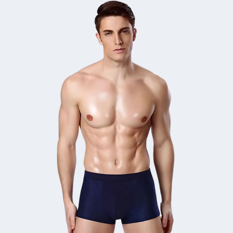 Bamboe Boxershorts Heren Set van 4 Stuks Ademend Comfort Elastische Band Zachte Pasvorm Dagelijks Ondergoed | Sulvida