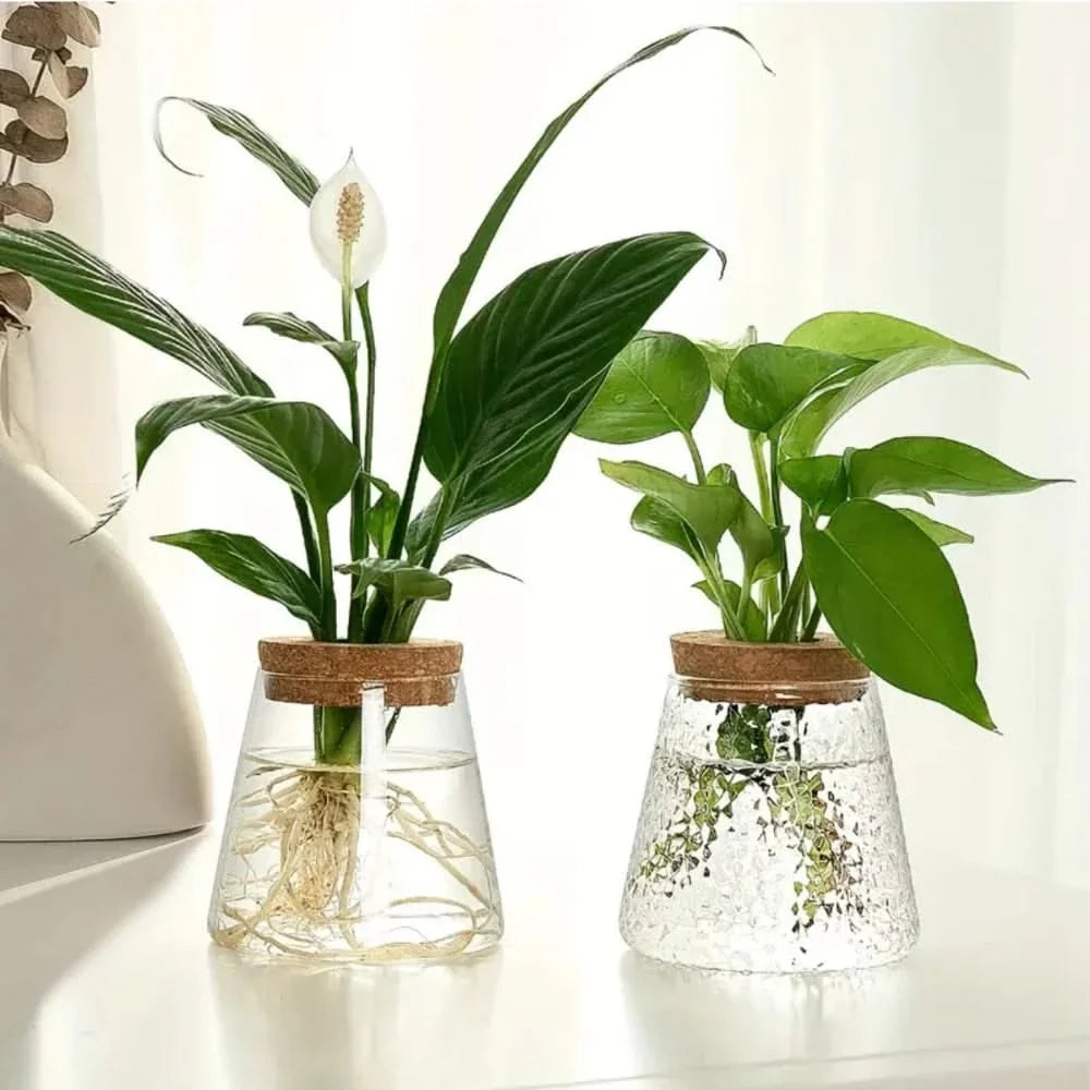Glazen vaas hydroponische plantenhouder met kurk 400ml helder of getextureerd glas kamerplant decoratie | Sulvida