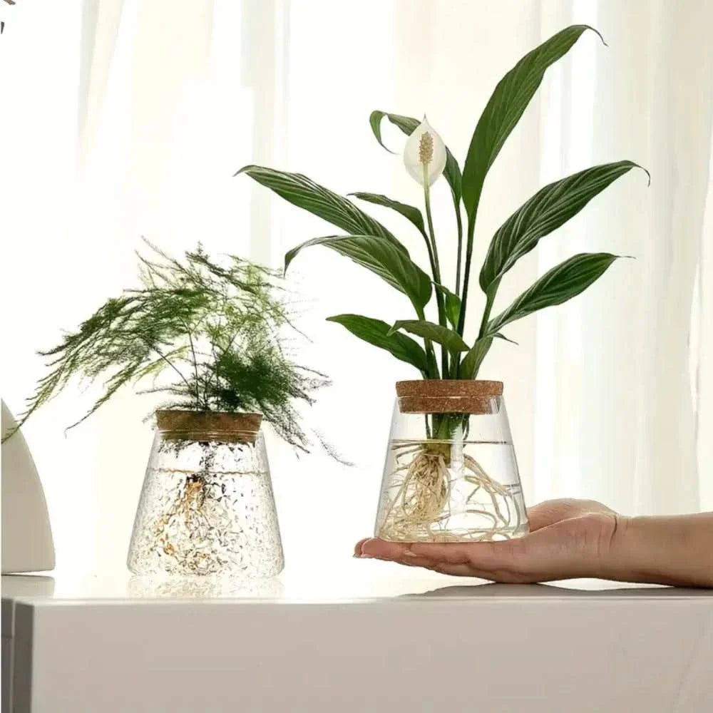 Glazen vaas hydroponische plantenhouder met kurk 400ml helder of getextureerd glas kamerplant decoratie | Sulvida