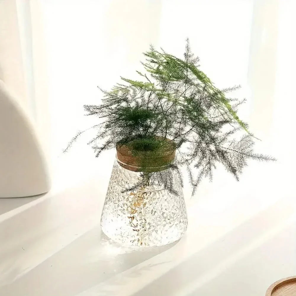 Glazen vaas hydroponische plantenhouder met kurk 400ml helder of getextureerd glas kamerplant decoratie | Sulvida