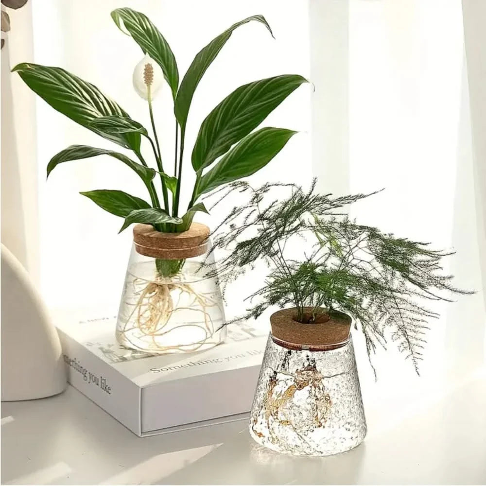 Glazen vaas hydroponische plantenhouder met kurk 400ml helder of getextureerd glas kamerplant decoratie | Sulvida