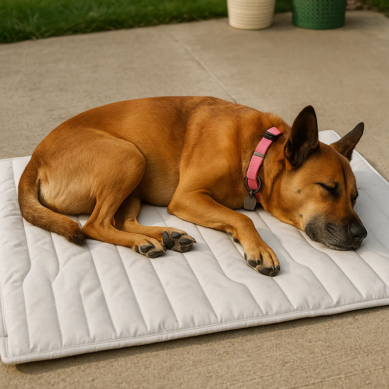 Tapis rafraîchissant pour chiens – Couchage auto-refroidissant sans électricité ni congélateur – Sécurité OEKO-TEX S M L XL | Sulvida