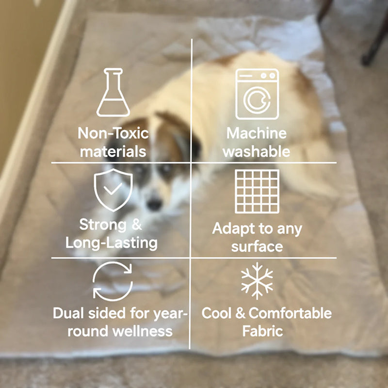 Tapis rafraîchissant pour chiens – Couchage auto-refroidissant sans électricité ni congélateur – Sécurité OEKO-TEX S M L XL | Sulvida