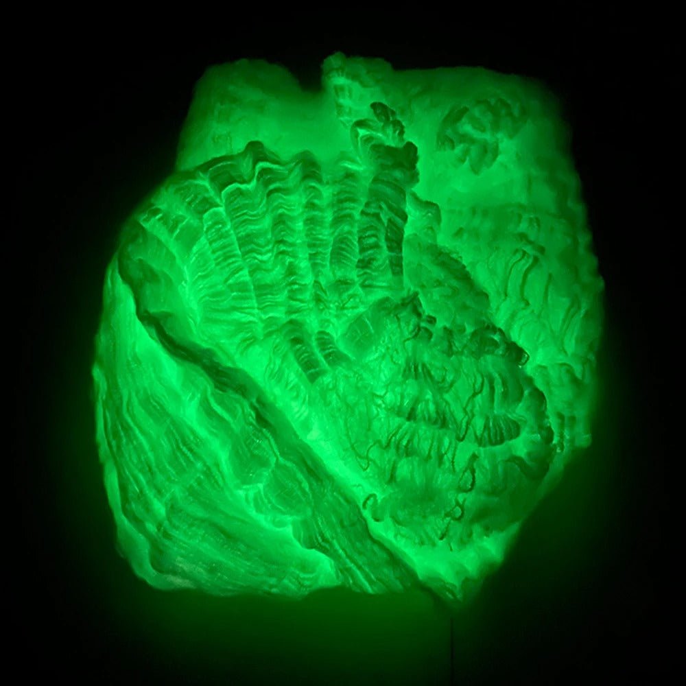 Fosforescerend Spinnenweb Decoratie 13.000 Draden Halloween Feest Decoratie Binnen Buiten Glow in the Dark | Sulvida