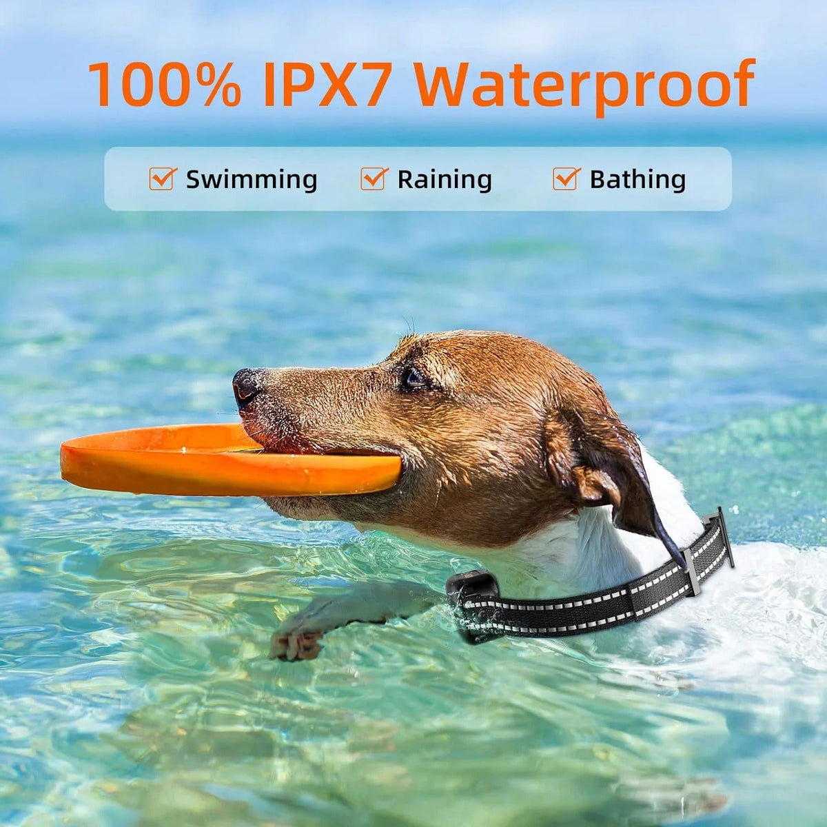 Oplaadbare trainingsband voor honden 1000 meter bereik waterbestendig drietrapsysteem huisdiertraining | Sulvida