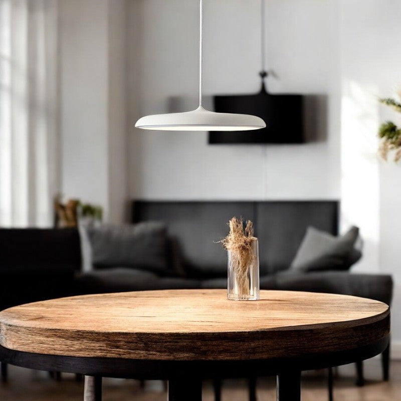 Scandinavische LED Plafondlamp Minimalistische Design Rond Mat Metaal Acryl Woonkamer Slaapkamer Inbouwspot 2 Maten | Sulvida
