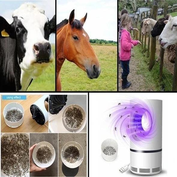UV-insectenval met aansuigventilator S en L voor binnen buiten muggenval USB veilig stil effectief insectenlamp | Sulvida