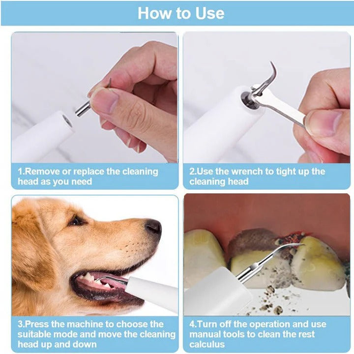 Outil ultrasonique de nettoyage des dents pour chiens, soin des animaux, électrique, 32-40 KHz, lumière LED | Sulvida