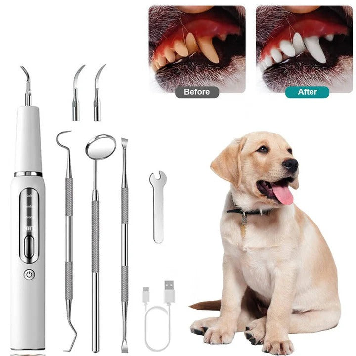 Outil ultrasonique de nettoyage des dents pour chiens, soin des animaux, électrique, 32-40 KHz, lumière LED | Sulvida