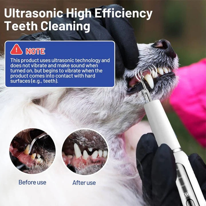 Outil ultrasonique de nettoyage des dents pour chiens, soin des animaux, électrique, 32-40 KHz, lumière LED | Sulvida