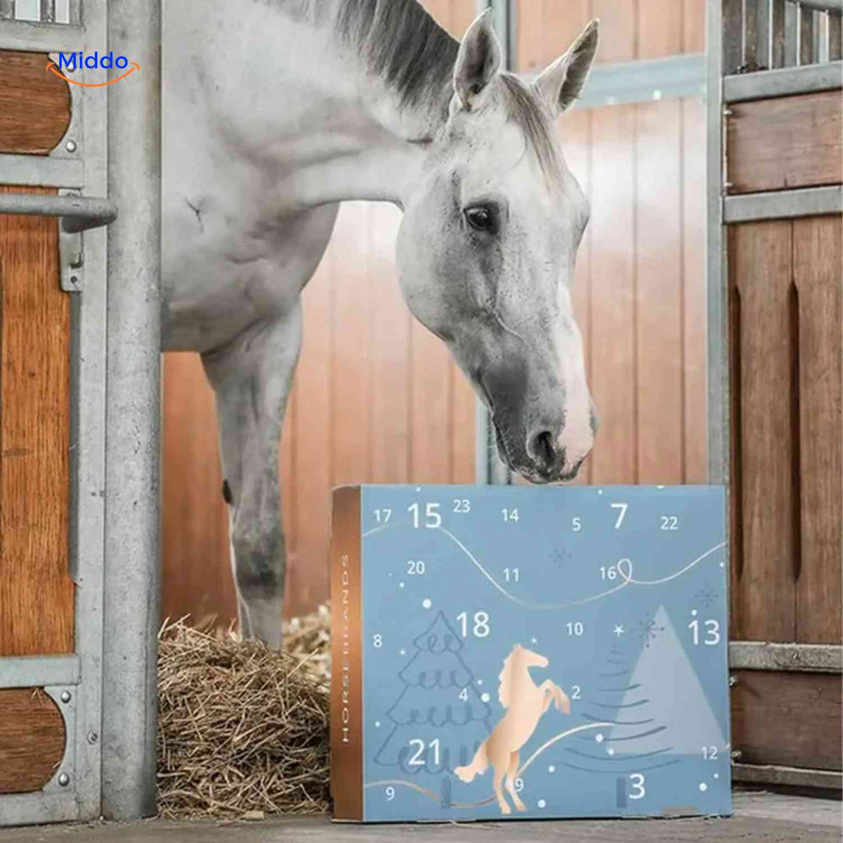 Adventskalender Paarden 24 Verrassingen Accessoires Speelfiguren Sieraden Sleutelhangers Kerstcadeau | Sulvida