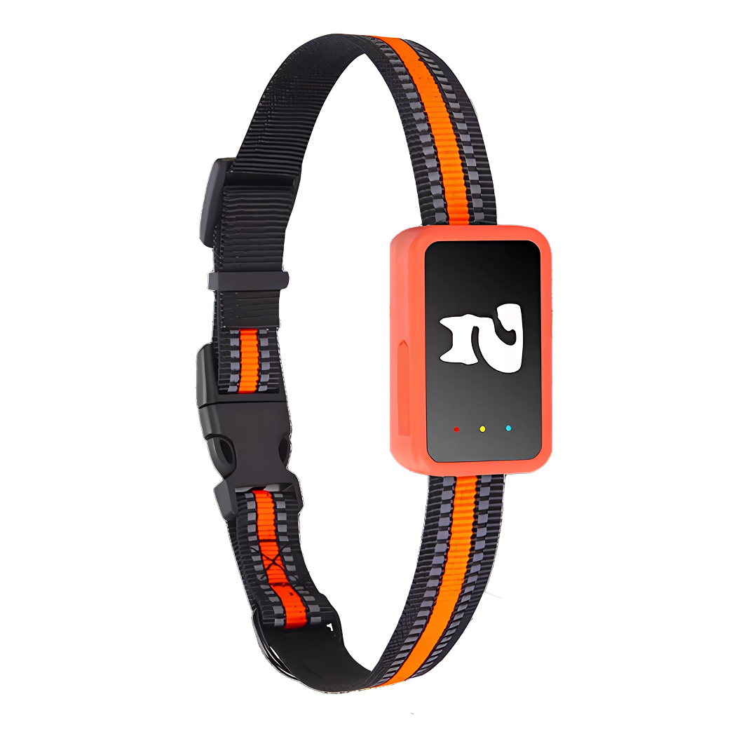 Traceur GPS pour animaux de compagnie avec localisation en temps réel et géorepérage | Appareil compact de 27g pour chat, chien et bagages | Sulvida