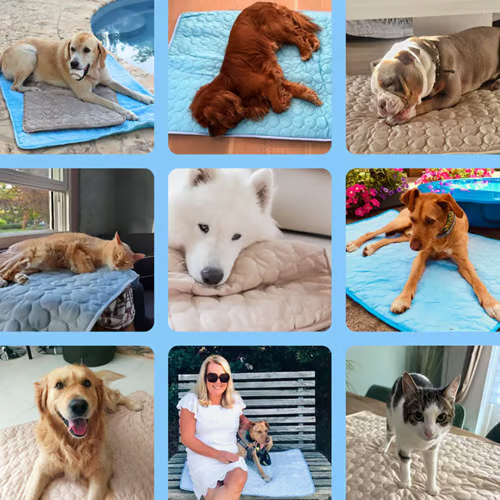 Tapis rafraîchissant autorégulant pour chiens, toutes tailles, sans gel, lavable en machine, accessoire rafraîchissant pour animaux en été | Sulvida