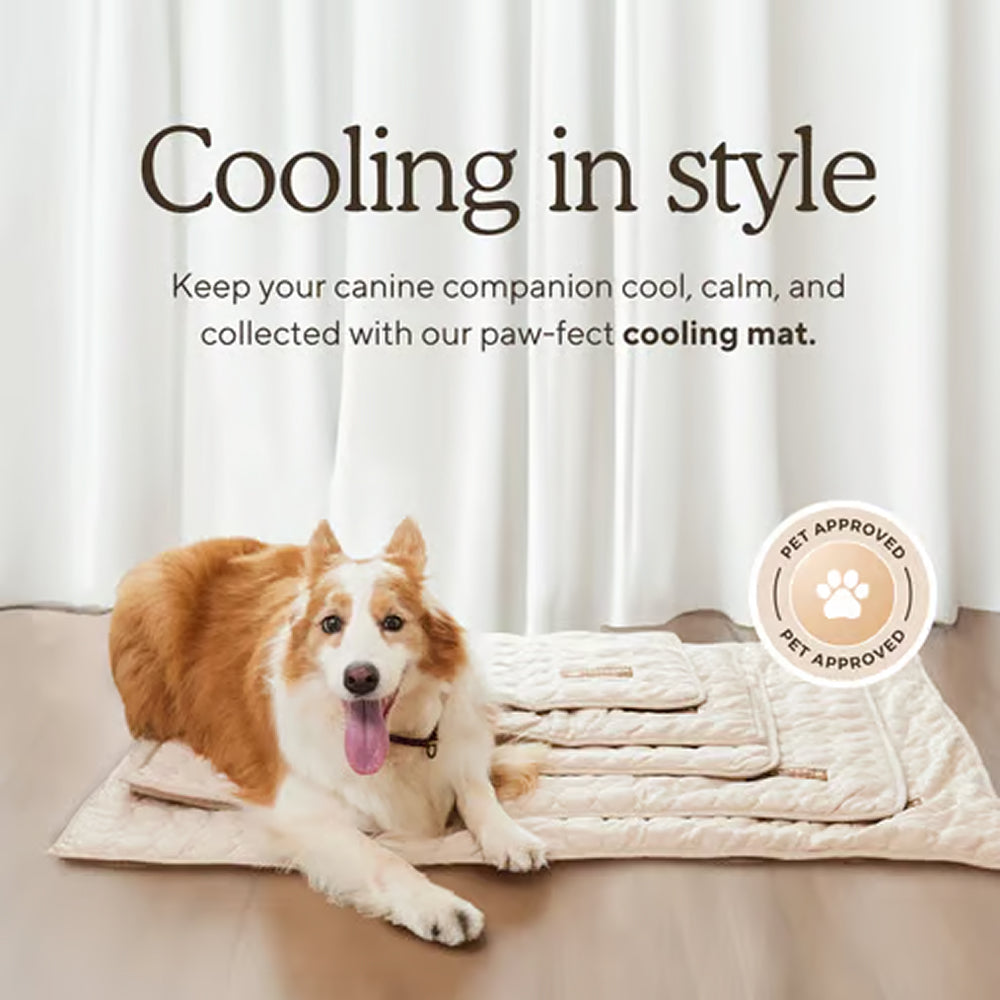 Tapis rafraîchissant autorégulant pour chiens, toutes tailles, sans gel, lavable en machine, accessoire rafraîchissant pour animaux en été | Sulvida