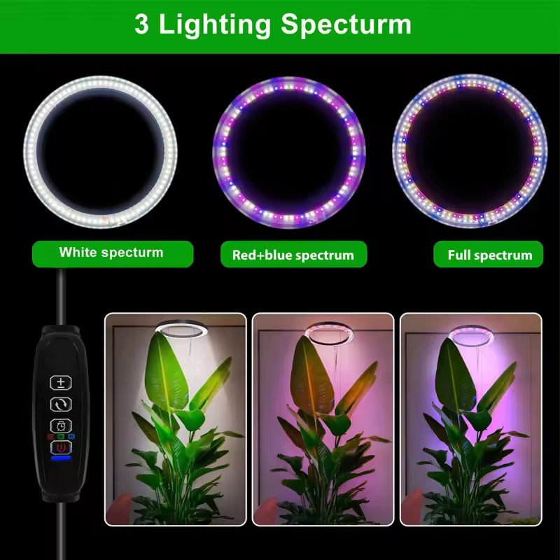 Lampe de croissance LED pour plantes, réglable de 20-165cm, spectre complet, USB, avec minuterie et variateur, pour plantes d’intérieur | Sulvida