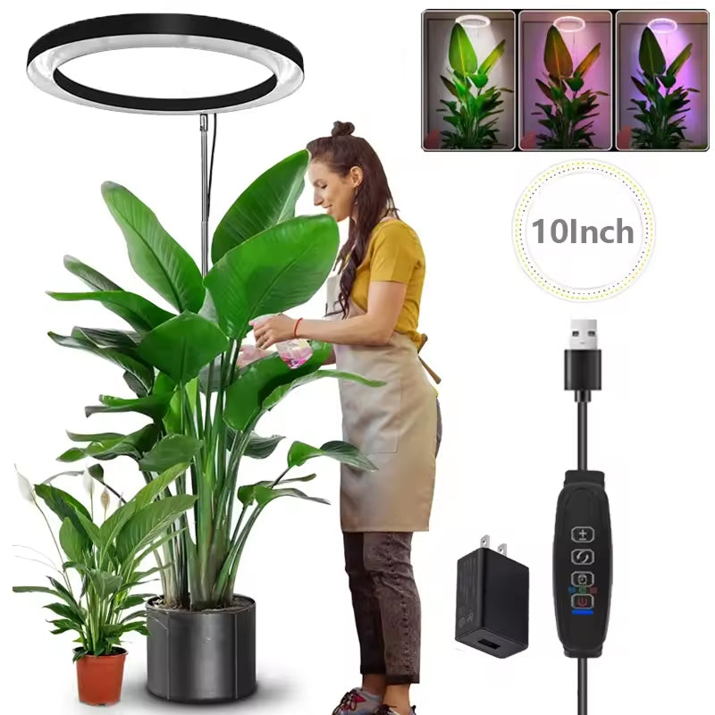 Lampe de croissance LED pour plantes, réglable de 20-165cm, spectre complet, USB, avec minuterie et variateur, pour plantes d’intérieur | Sulvida