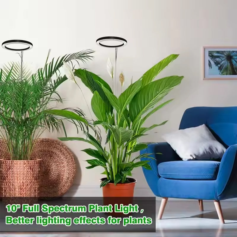 Lampe de croissance LED pour plantes, réglable de 20-165cm, spectre complet, USB, avec minuterie et variateur, pour plantes d’intérieur | Sulvida