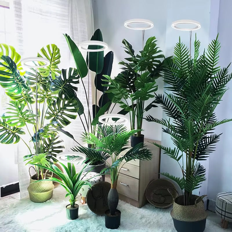 Lampe de croissance LED pour plantes, réglable de 20-165cm, spectre complet, USB, avec minuterie et variateur, pour plantes d’intérieur | Sulvida