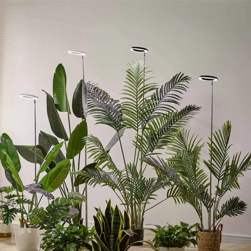 Lampe de croissance LED pour plantes, réglable de 20-165cm, spectre complet, USB, avec minuterie et variateur, pour plantes d’intérieur | Sulvida