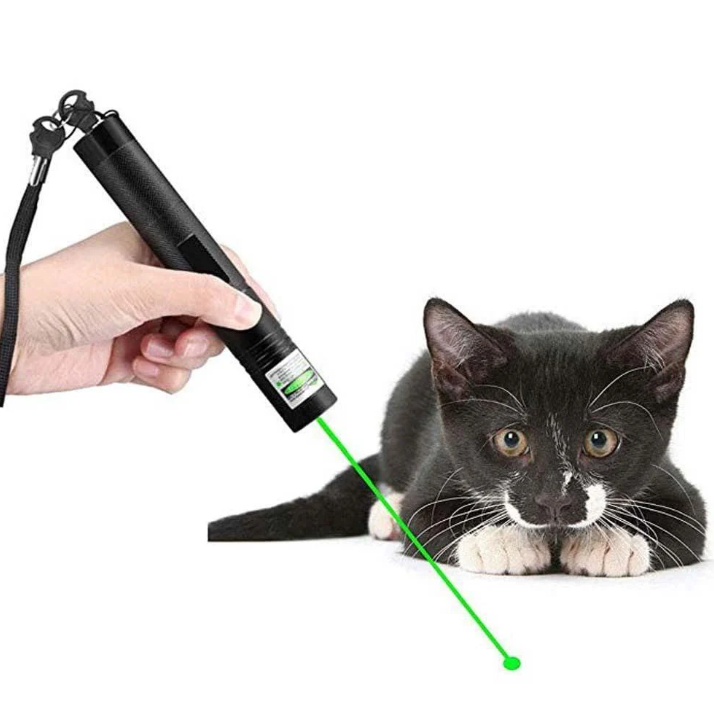 Draagbare Laserpointer Hoge Intensiteit Presentaties Sterren Kijken Rood Groen Lichtstraal Precisie Rechargeable | Sulvida