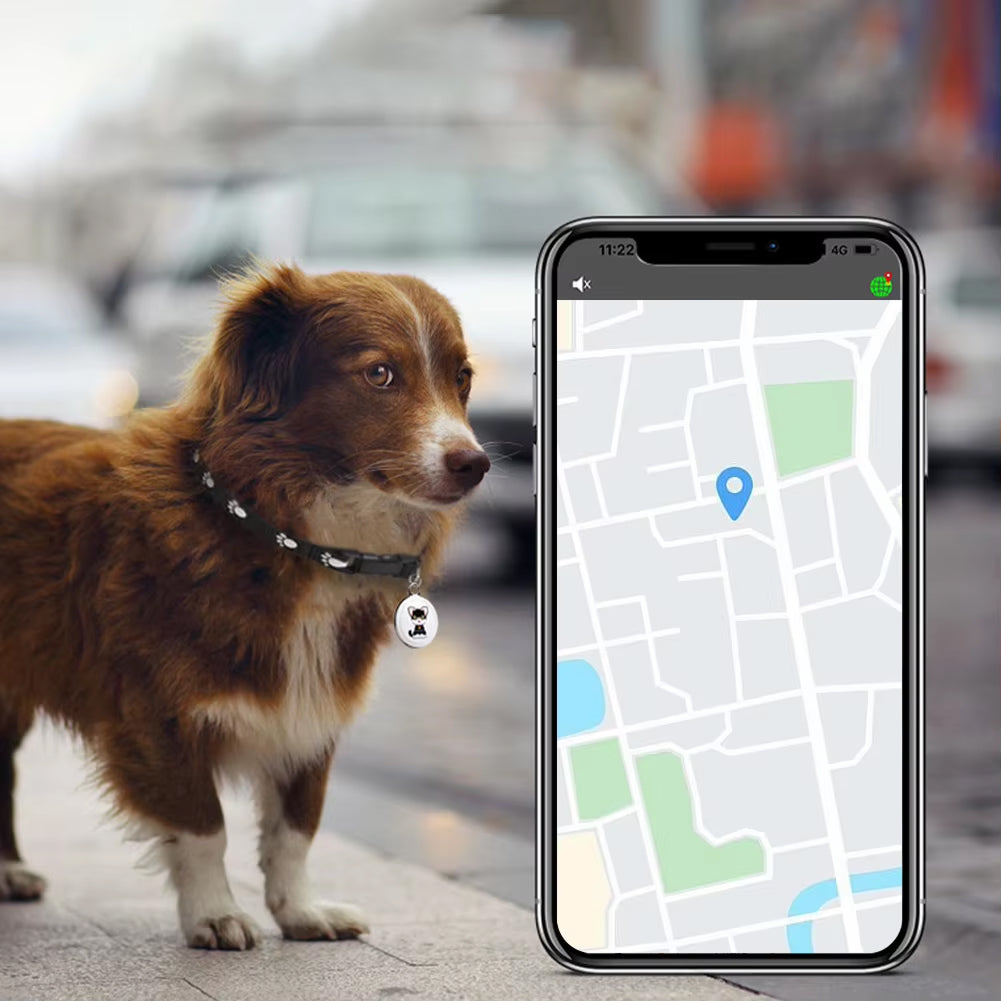 Traceur GPS pour chat avec Bluetooth, détection de proximité, étanche, compact, localisation de l’animal en temps réel | Sulvida