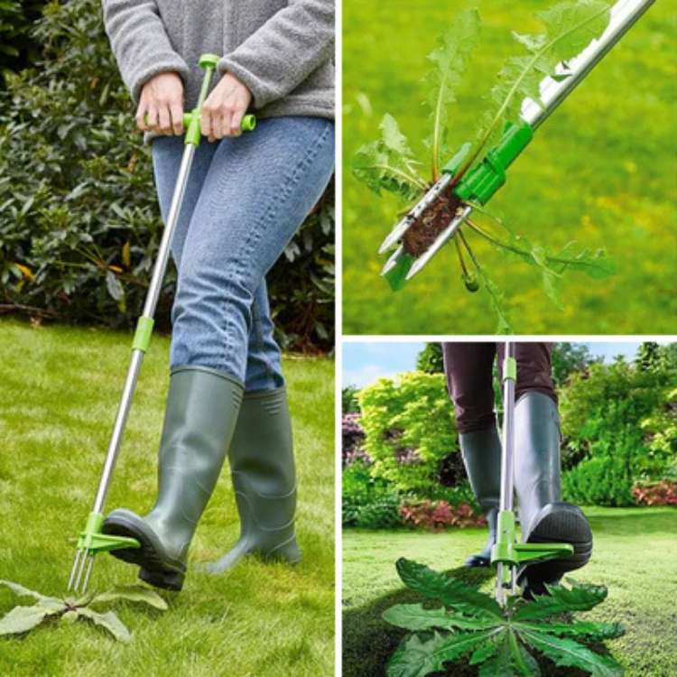 Onkruidtrekker staand met klauwsysteem voor worteldiepte-verwijdering tuin gazon terras zonder bukken | Sulvida