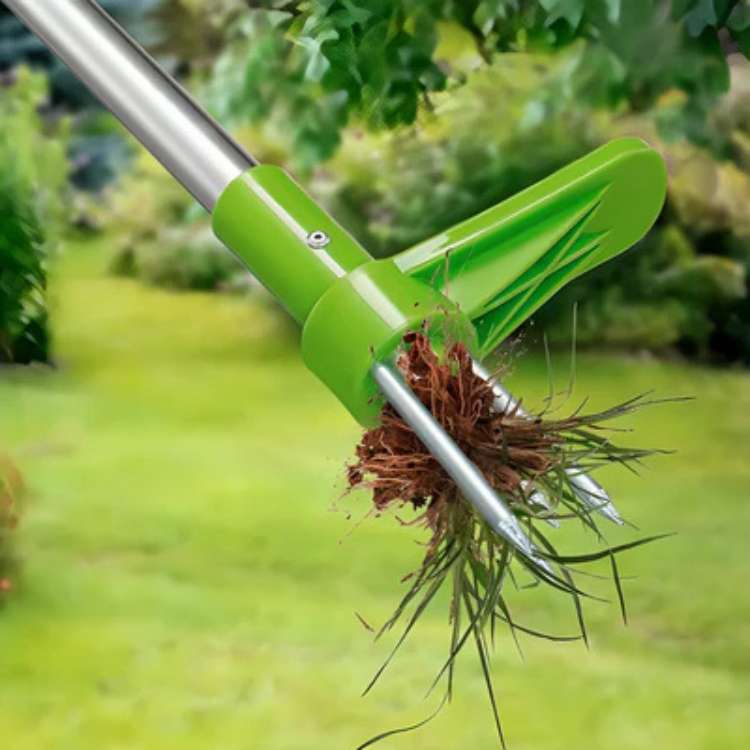 Onkruidtrekker staand met klauwsysteem voor worteldiepte-verwijdering tuin gazon terras zonder bukken | Sulvida