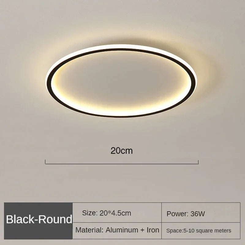 Ronde LED Plafondlamp Scandinavisch Design Mat Zwart Wit Goud 20-60cm Dimbaar Woonkamer Slaapkamer Gang | Sulvida