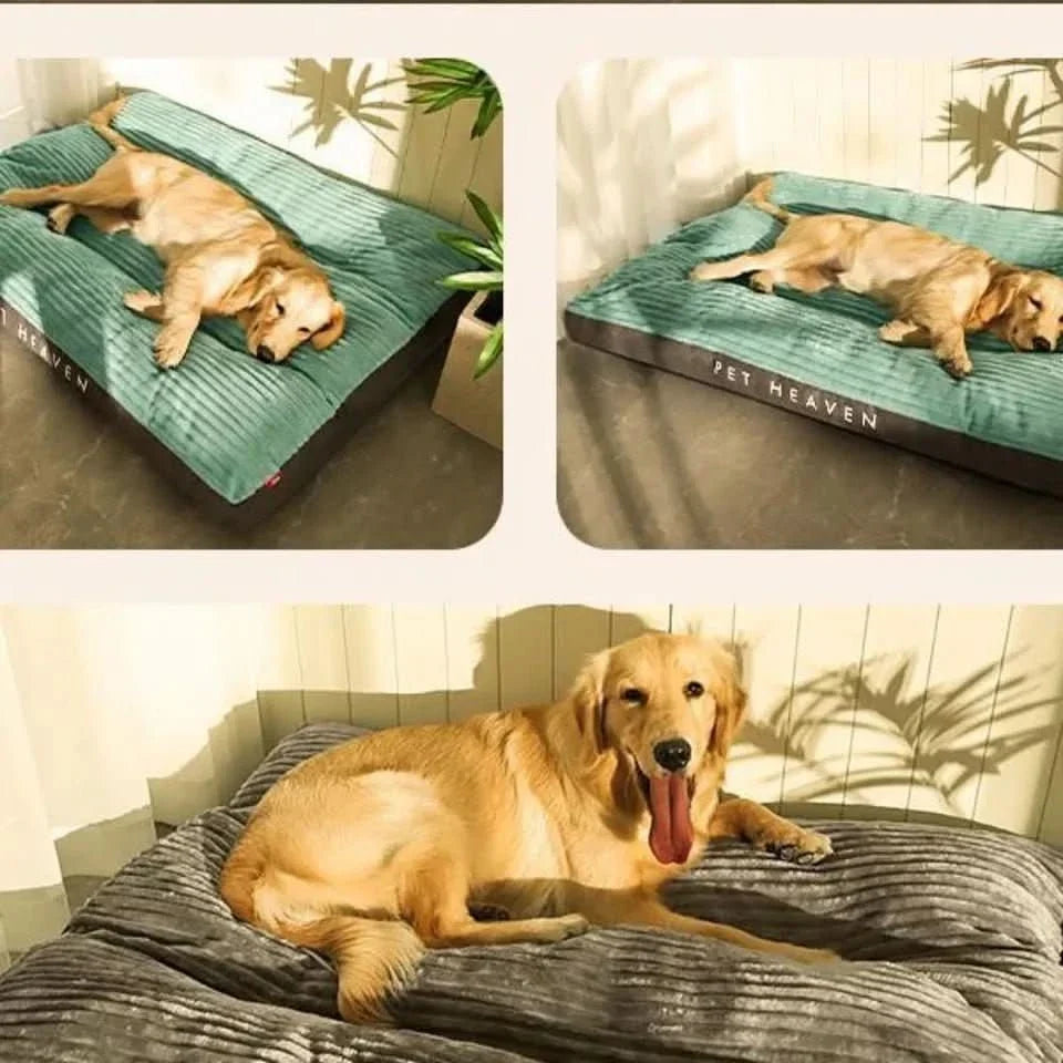 Orthopedisch Hondenkussen Pluche Mand Grijs Lichtgroen Gelenkondersteunend Rustgevend Comfort Hondenmand | Sulvida