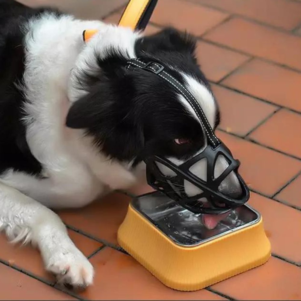 Hondensnuit Verstelbare Ademende Muilkorf voor Honden Anti-Bijten en Anti-Blaffen Oplossing Veilige Comfortabele Hondenmuilkorf Geschikt voor Middel Grote Honden | Sulvida