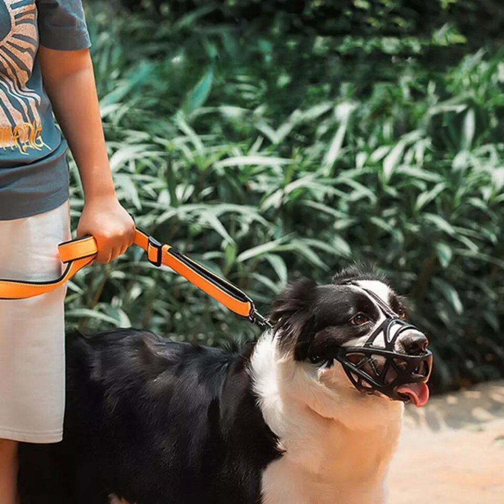 Hondensnuit Verstelbare Ademende Muilkorf voor Honden Anti-Bijten en Anti-Blaffen Oplossing Veilige Comfortabele Hondenmuilkorf Geschikt voor Middel Grote Honden | Sulvida