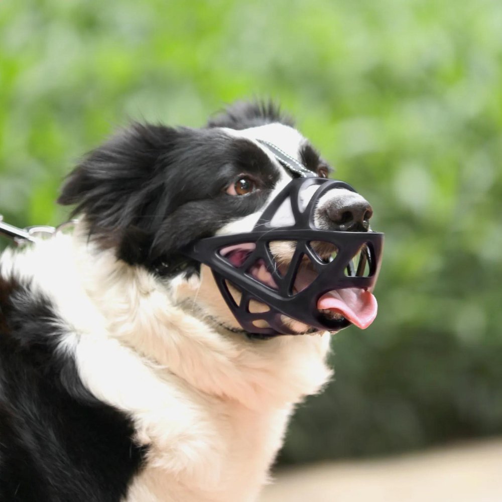 Hondensnuit Verstelbare Ademende Muilkorf voor Honden Anti-Bijten en Anti-Blaffen Oplossing Veilige Comfortabele Hondenmuilkorf Geschikt voor Middel Grote Honden | Sulvida