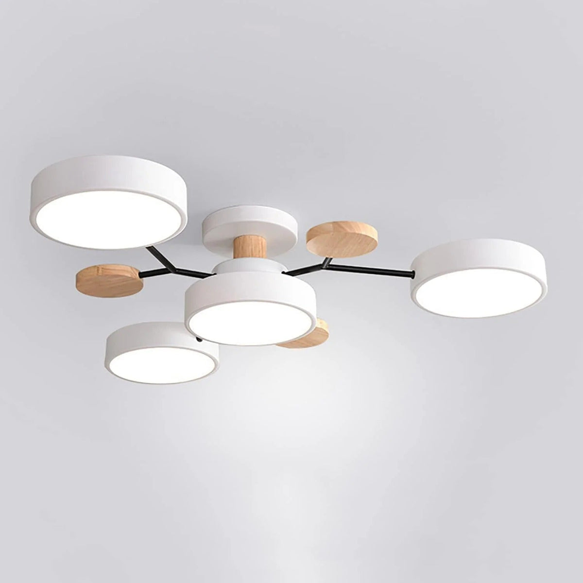 LED Plafondlamp Halo Cirkel IJzer Acryl Dimbaar 4 5 6 7 Lichtpunten Modern Design Woon Slaapkamer Verstelbaar | Sulvida