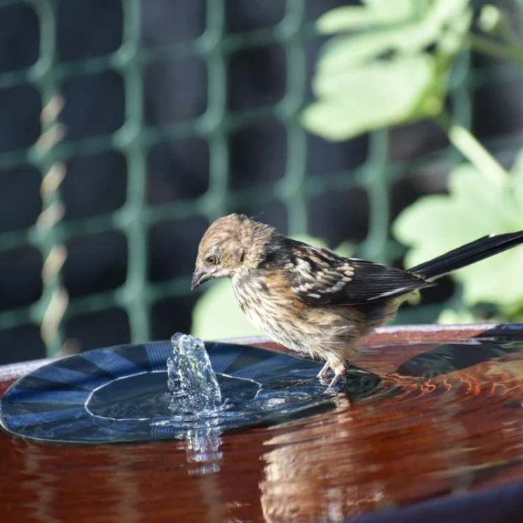 Zwevende zonne-fontein met drijfsysteem voor vijver tuin vogelbad dierenleven outdoor waterspel decoratie | Sulvida