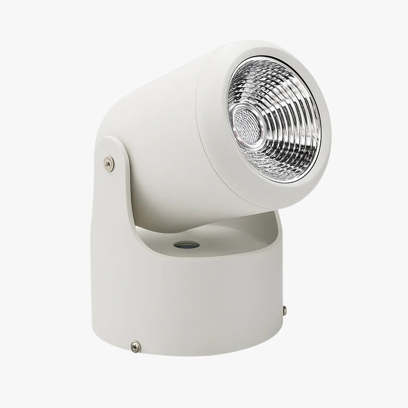 Verstelbare Opbouwspot LED Zwart Wit Metaal Richtbaar Plafondspot Modern Design Woonkamer Keuken Hal | Sulvida