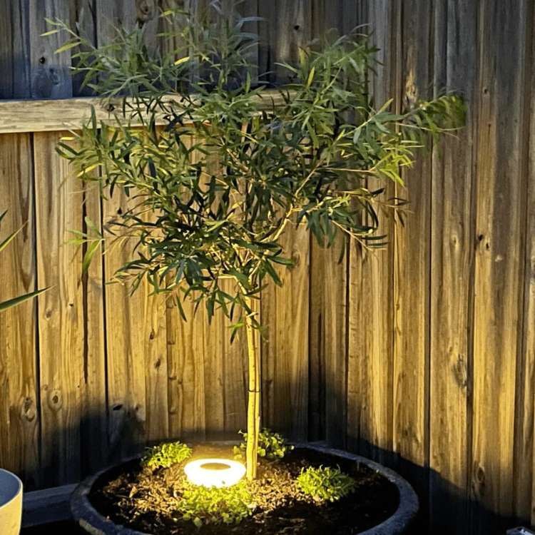 Zonne-energie tuinverlichting roestvrij staal warm wit koel wit LED buitenverlichting voor paden tuin terras | Sulvida