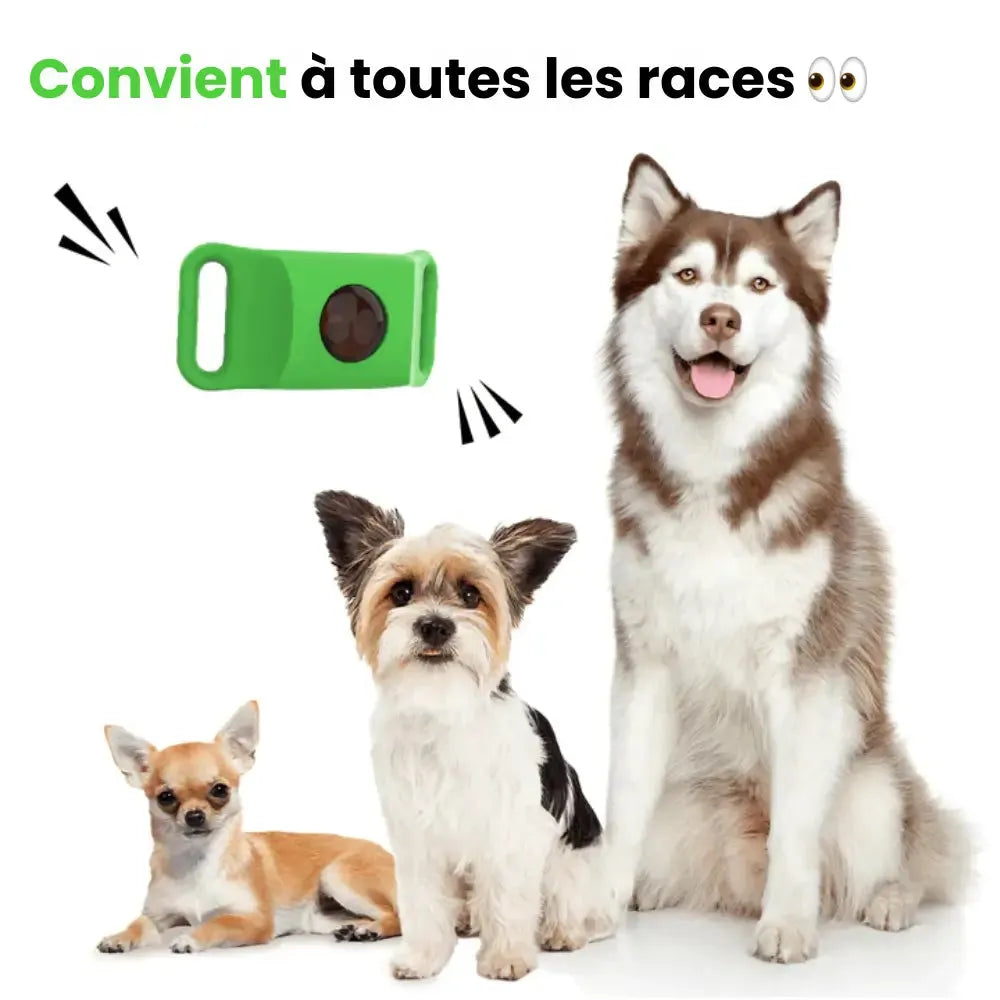 Antiparasitaire halsband hond 8 maanden bescherming tegen vlooien en teken natuurlijk waterbestendig comfort | Sulvida