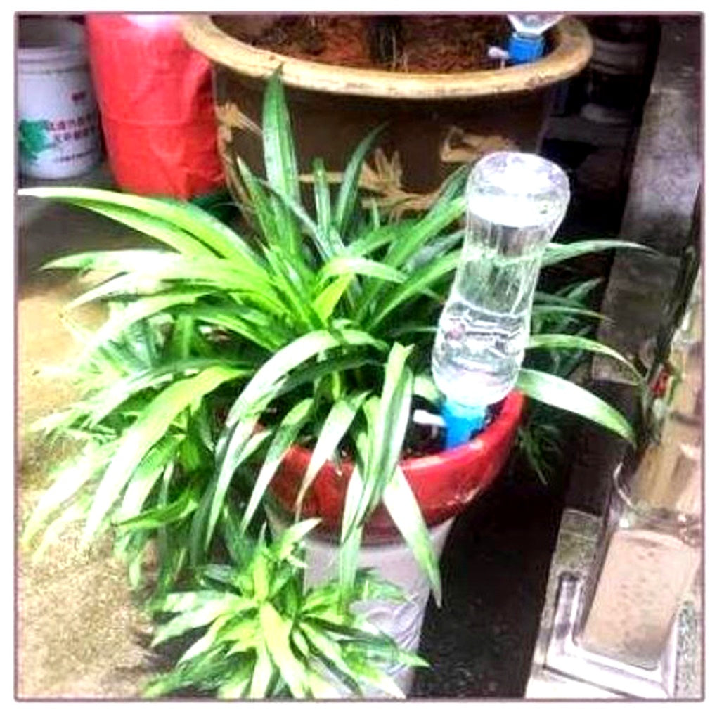 Automatische Plant Druppelpijpen met Regelbare Uitstroom 12 Stuks voor Zelfbewaterend Tuinonderhoud en Planten | Sulvida