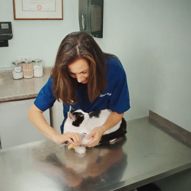 Nagelknipper voor Honden met Veiligheidssensor Anti-Bloeding Ergonomisch Antislip Handvat Professionele Trimmer | Sulvida